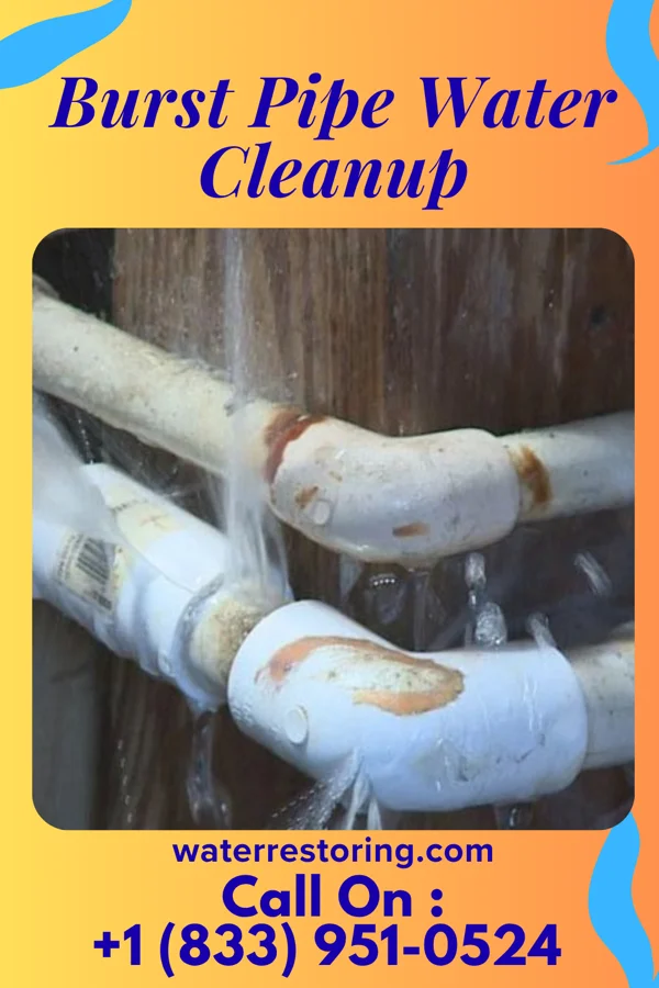 Burst Pipe Water Cleanup in Cherryville, NC