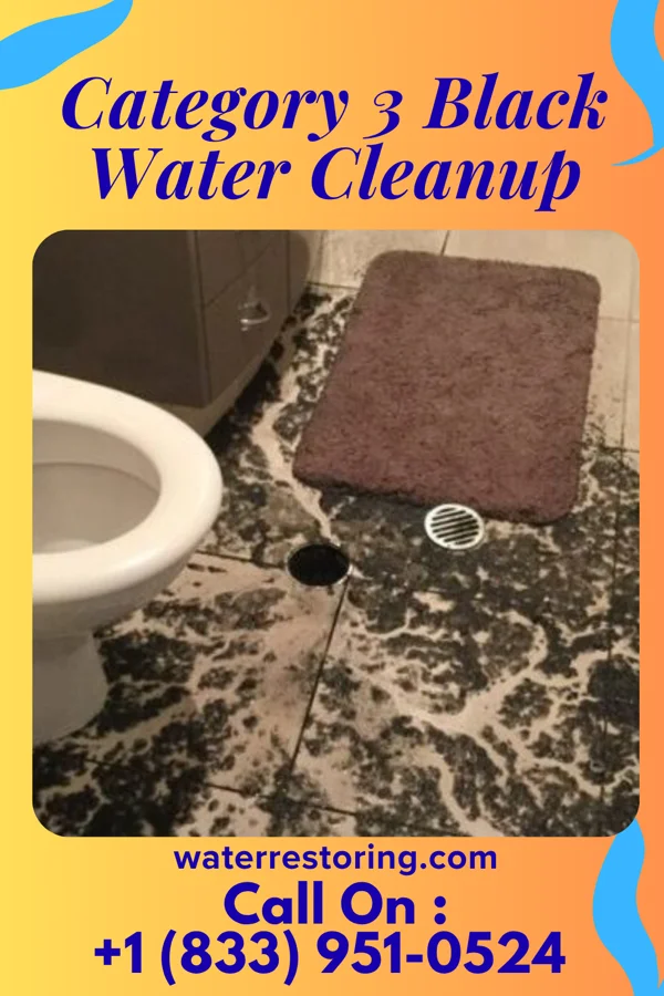 Category 3 Black Water Cleanup in Cherryville, NC