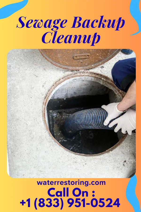 Sewage Backup Cleanup in Cherryville, NC